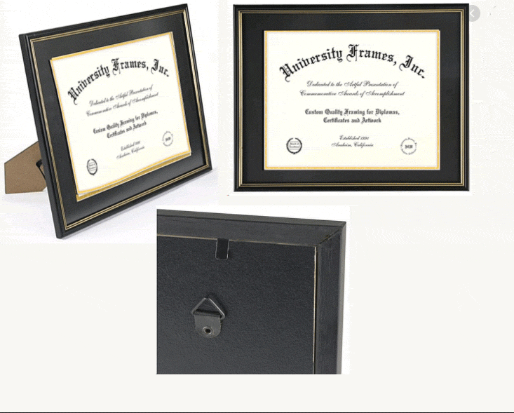 University Frames With Double Mat and Gold Trim